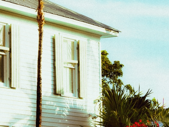Older Florida home with a palm tree, illustrating insurance considerations for Dunedin home buyers