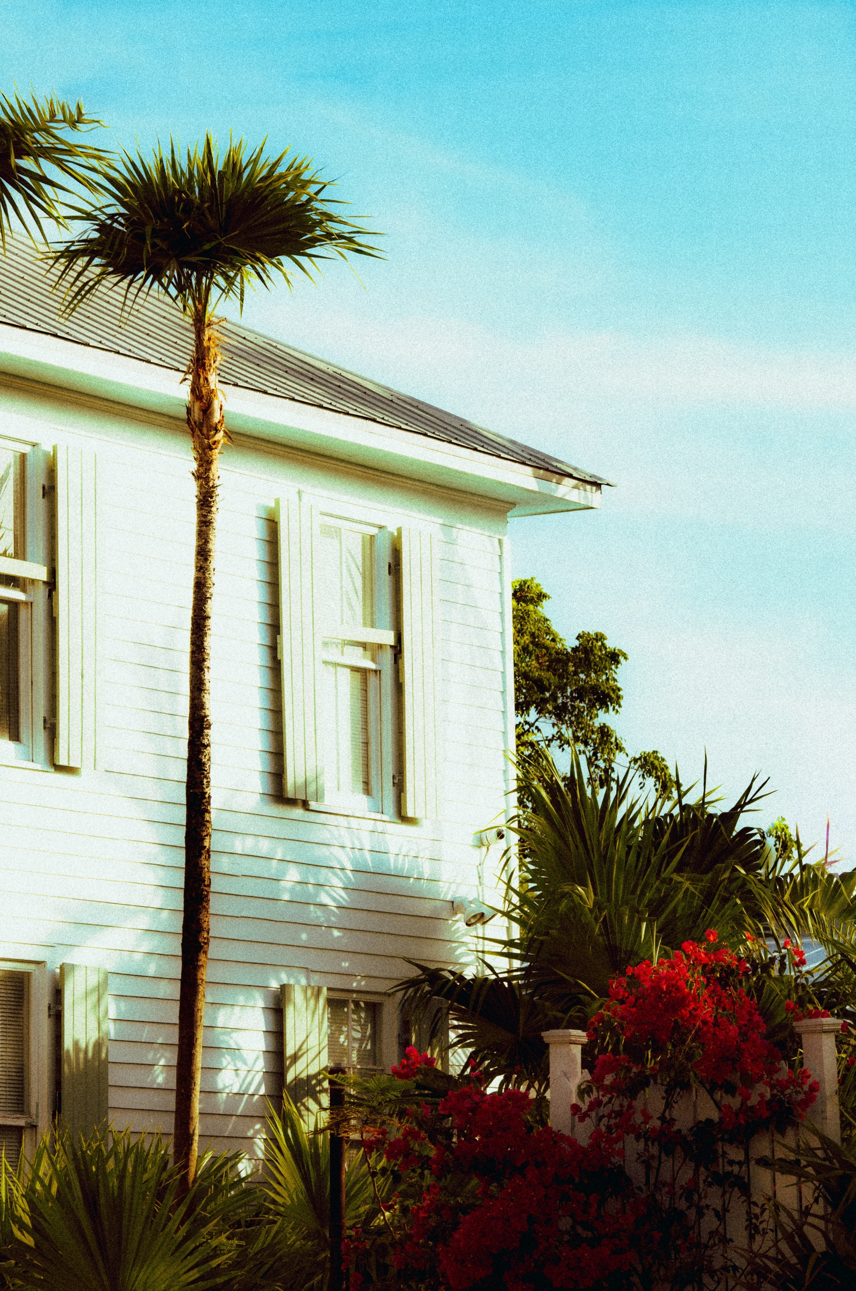 Older Florida home with a palm tree, illustrating insurance considerations for Dunedin home buyers