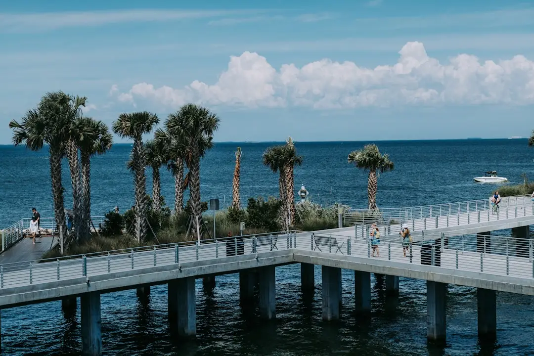 Waterfront dock and calm water representing outdoor activities in Dunedin, Florida
